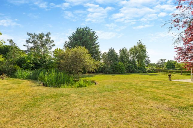 Extensive Gardens