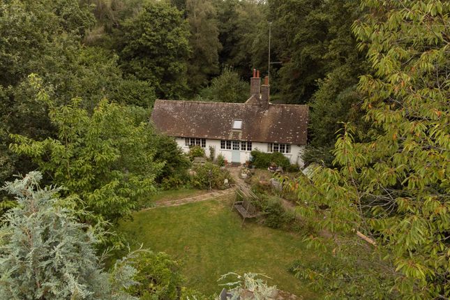 Thumbnail Detached bungalow for sale in London Road, Forest Row