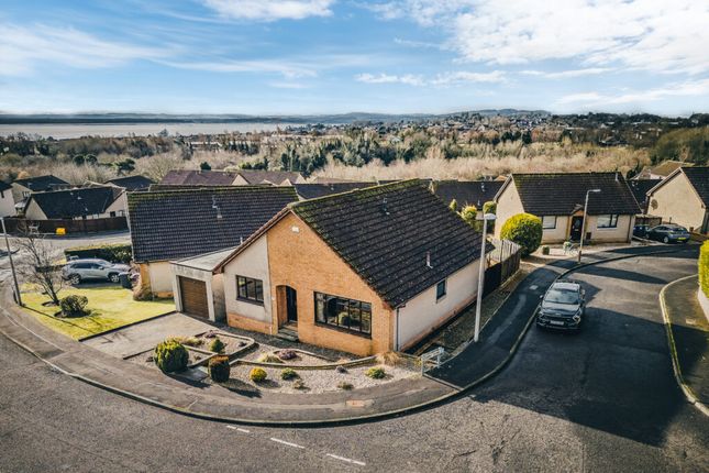 Thumbnail Bungalow for sale in Solway Gardens, Monifieth, Dundee