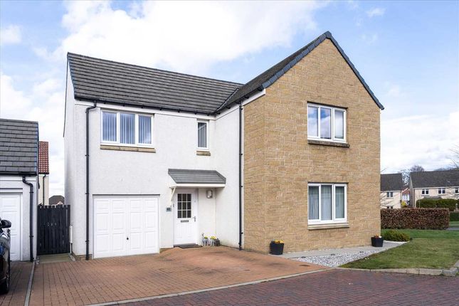 Thumbnail Detached house for sale in Franklin Avenue, Falkirk