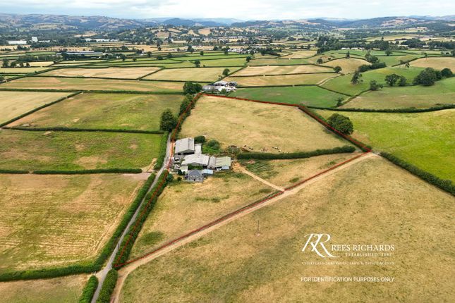 Bronallt, Llangadog, Carmarthenshire photo 2
