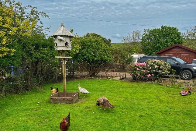 Kilmory Farm, Isle of Arran photo 3
