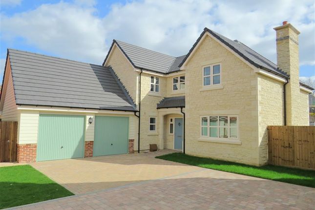 Deeping St James New Homes For Sale Buy New Homes In Deeping St