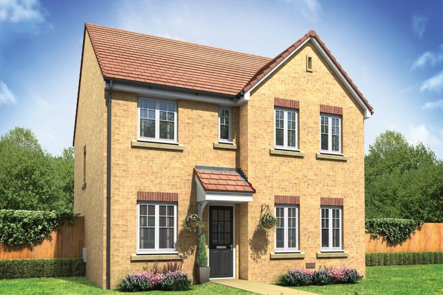 Thumbnail Detached house for sale in "The Mayfair" at Higher Blandford Road, Shaftesbury