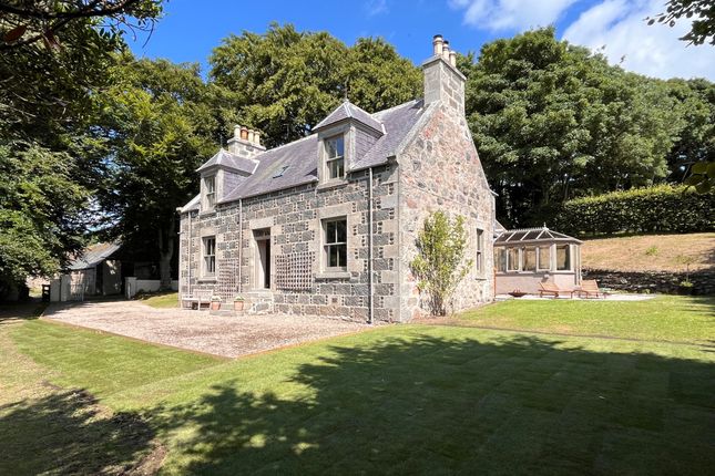 Exterior Lead