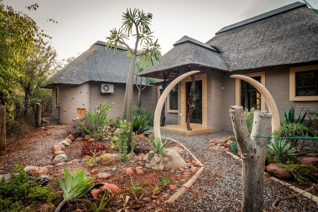 Detached house for sale in 345 Knoppiesdoring Street, Hoedspruit Wildlife Estate, Hoedspruit, Limpopo Province, South Africa