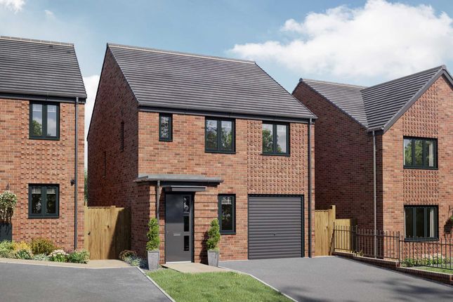 Thumbnail Detached house for sale in "The Dalby" at Fitzhugh Rise, Wellingborough
