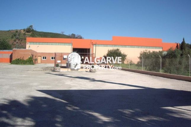 Commercial property for sale in 8800 Tavira, Portugal