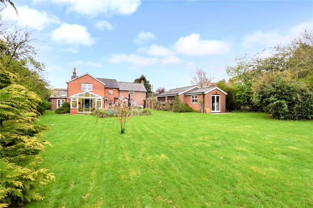 Thumbnail Detached house for sale in Graces Lane, Chieveley, Newbury