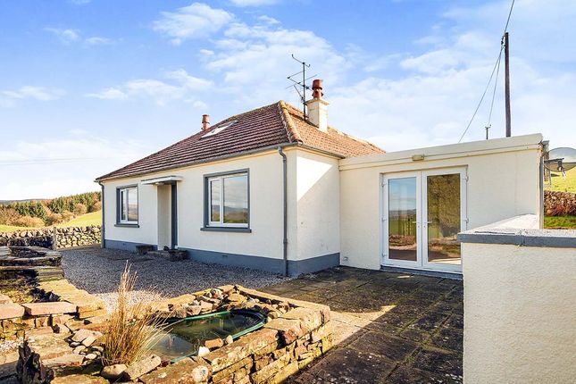 Thumbnail Bungalow for sale in Auldgirth, Dumfries, Dumfries And Galloway