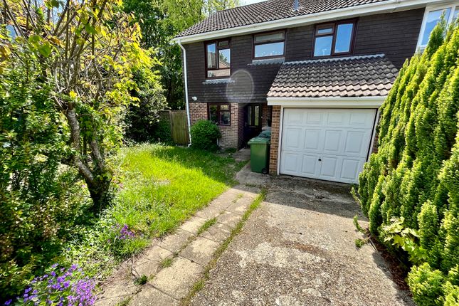 Semi-detached house to rent in May Tree Close, Winchester