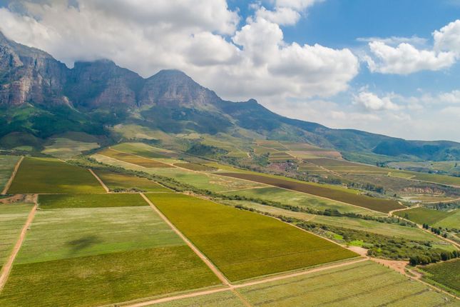 Simondium Plaisir Wine Estate Farm 6, Simondium, Cape Winelands, Western Cape ...