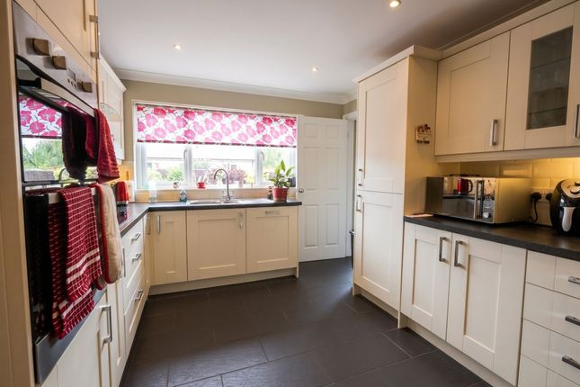 29 The Holmes, Ely photo 5