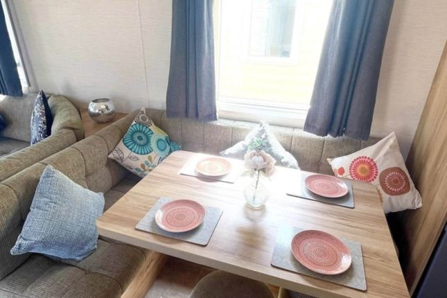 Abi Liberty, Abergele photo 4