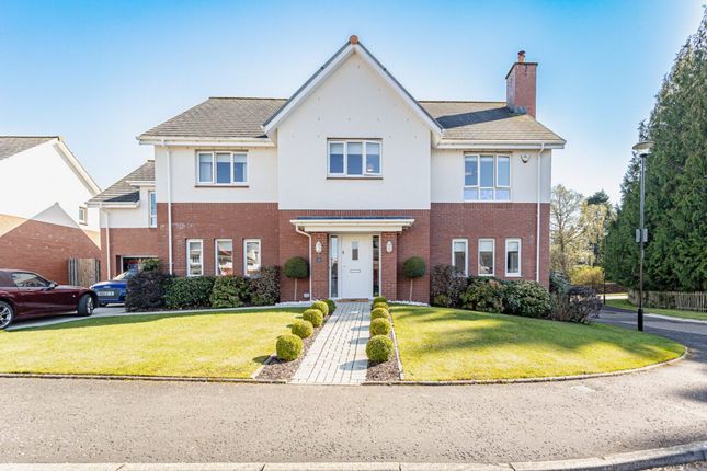 Thumbnail Detached house for sale in Ardnablane, Dunblane