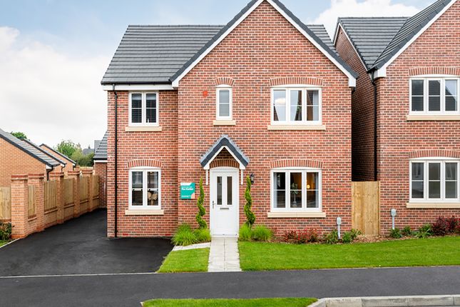 Thumbnail Detached house for sale in "The Kielder" at Bluebell Way, Whiteley, Fareham