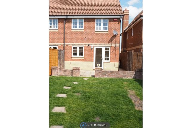 Alphin Brook, Didcot photo 2