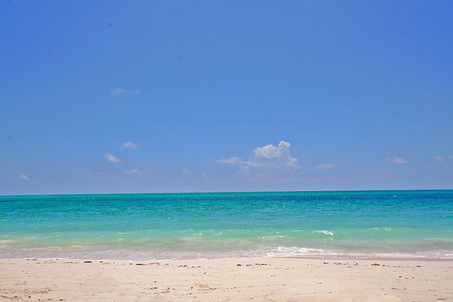 Land For In Fortune Beach Grand Bahama The Bahamas Zoopla In Fortune Beach Grand Bahama