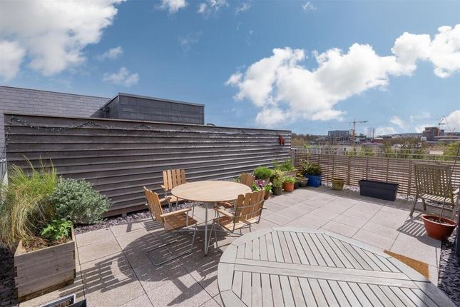 Spacious And Sunny Rooftop Garden With Comfortable...
