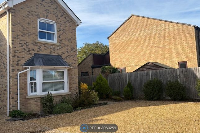 A Paddock St, Soham, Ely photo 2