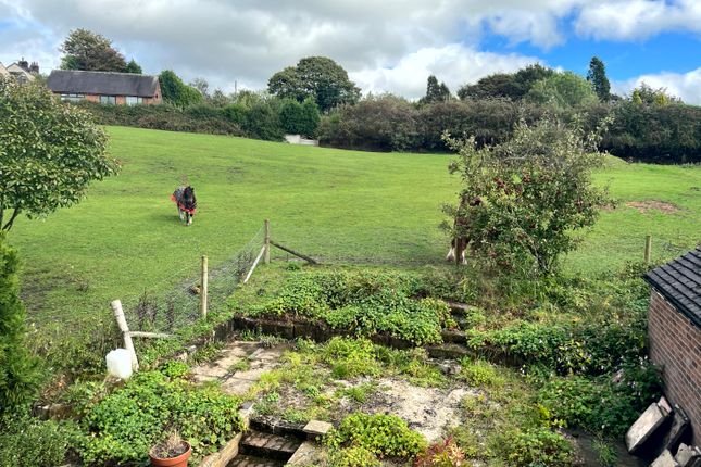 Rear View And Garden