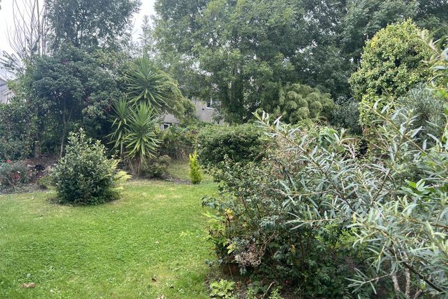 Jacks House, Park 3, 10 Eastern Green Caravan Park, Penzance photo 2