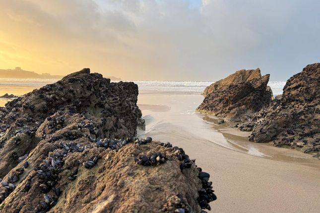 Trevella Holiday Park, Newquay photo 4