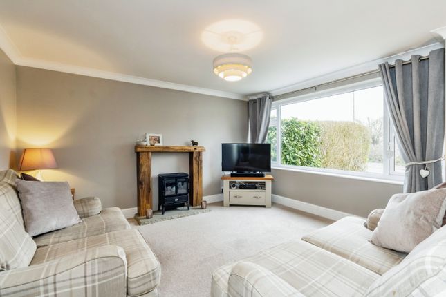 12, Banes Road, Nottingham photo 3