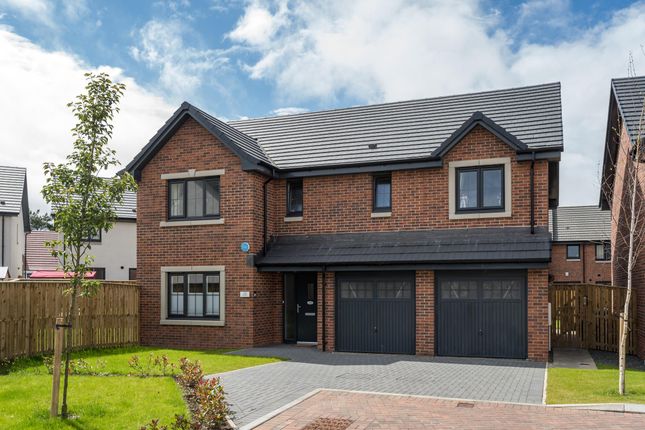 Thumbnail Detached house for sale in "The Burgess" at Gregory Road, Kirkton Campus, Livingston