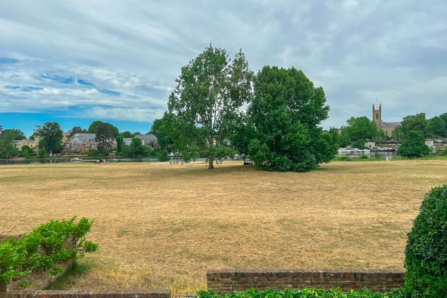Buckingham Gardens, West Molesey photo 3