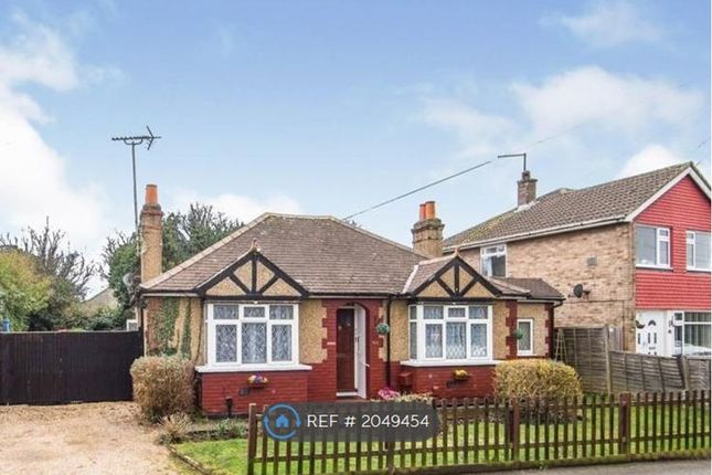 Thumbnail Bungalow to rent in Oaks Road, Stanwell, Staines-Upon-Thames