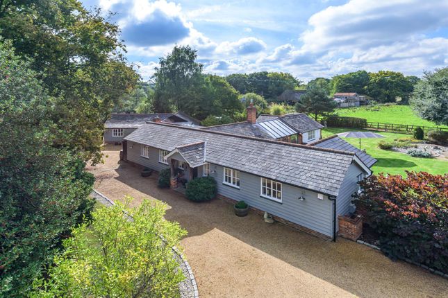 Thumbnail Detached bungalow for sale in Maple Tree Lane, Mill Green, Ingatestone