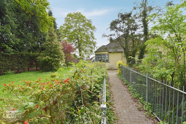 Detached bungalow for sale in Long Lane, Holbury, Southampton