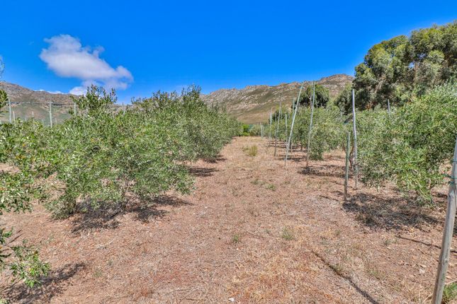Farm for sale in Clearwaters Road, Firlands, Gordon’S Bay, Gordons Bay, Western Cape, South Africa