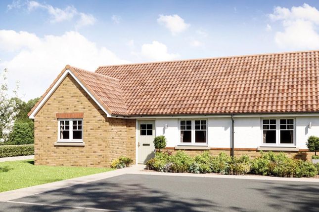 Thumbnail Detached house for sale in "Bradley" at St. Johns Street, Beck Row, Bury St. Edmunds