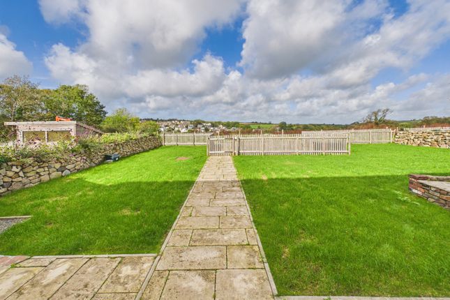 Lodgeworthy Farm, Holsworthy photo 2
