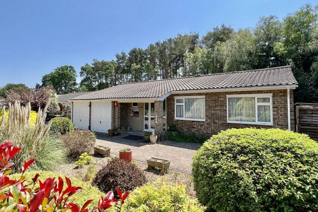 Detached bungalow for sale in Heath Road, St Leonards, Ringwood BH24