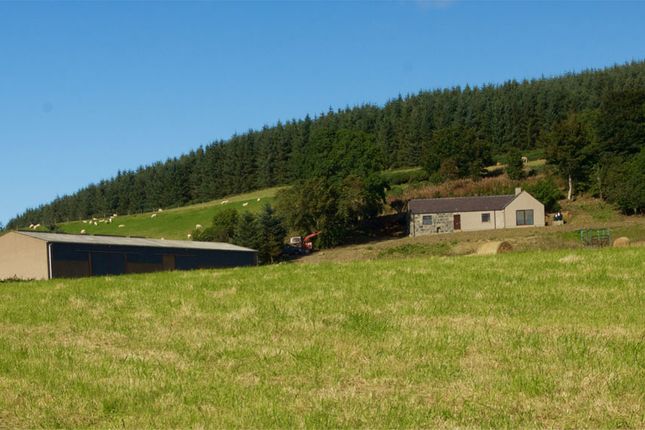 Aberdeenshire farms and land for sale - Buy farms and land 