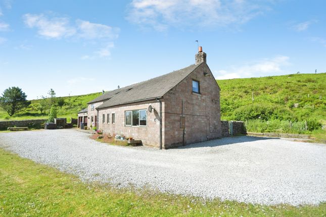 Shaw Top Farm, Shaw Top Farm, Leek photo 4