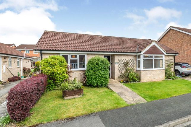 Thumbnail Bungalow for sale in Newlands, Northallerton