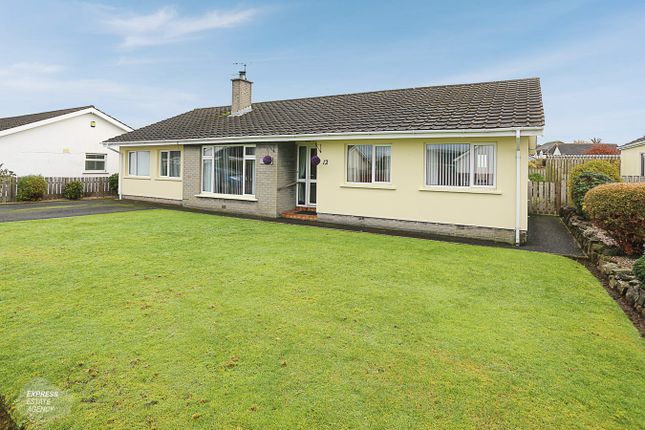 Thumbnail Detached bungalow for sale in Beechwood Avenue, Moira, Craigavon