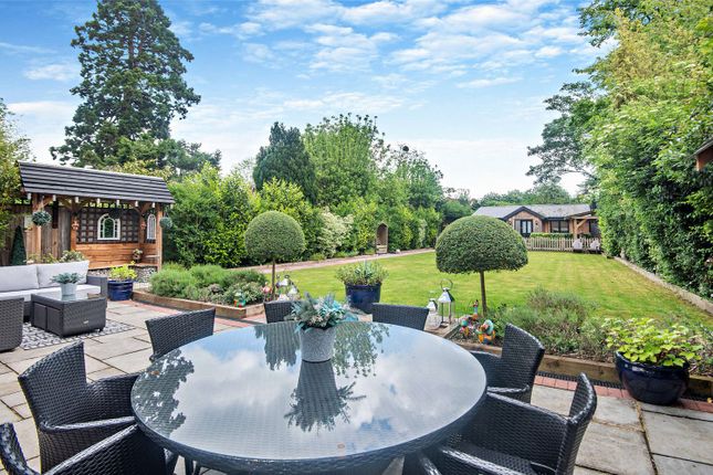 Rear Gardens