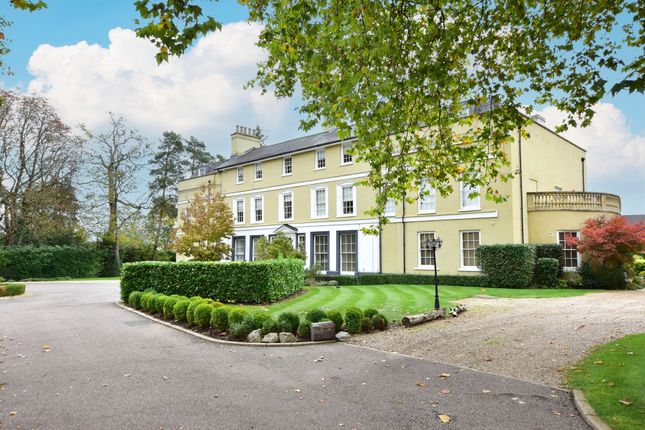 6 Breakspear Place, Abbots Langley photo 3