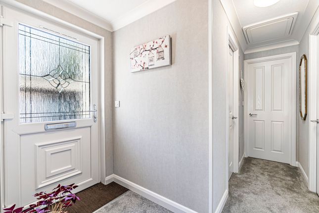 4 Pont Pentre Park, Pontypridd photo 4