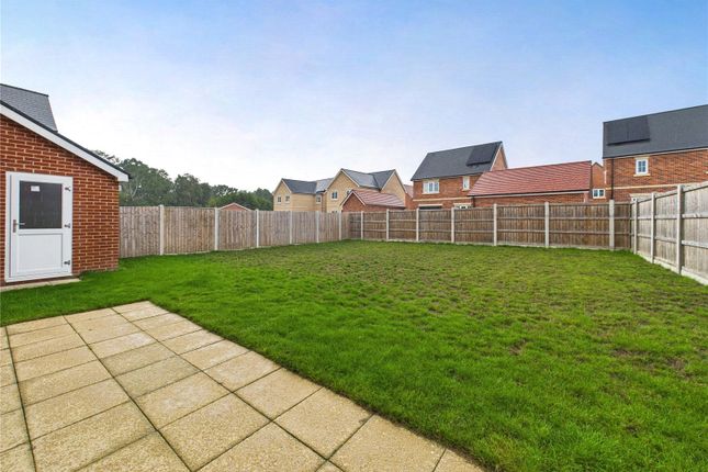 16, Rosa Road, Colchester photo 2