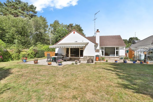 19, Fir Tree Close, Ringwood photo 3