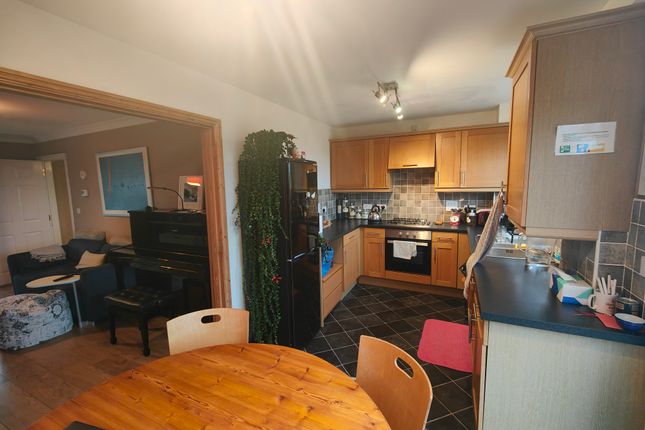 33, Penryn photo 5