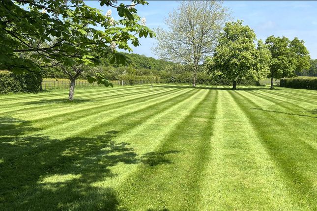 Grounds