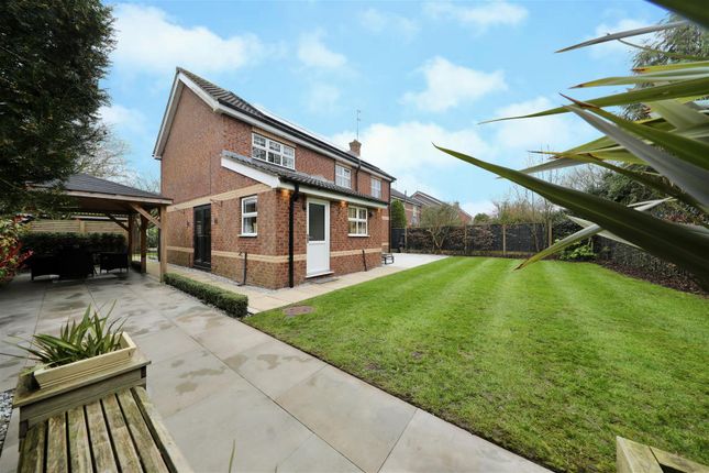35, Sellers Drive, Beverley photo 4