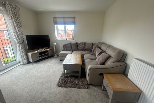 14, Birmingham photo 4